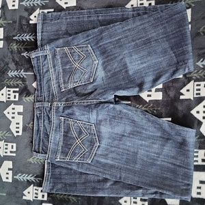 Vigoss Straight Leg Jeans(Size 3/4 |Waist 27)